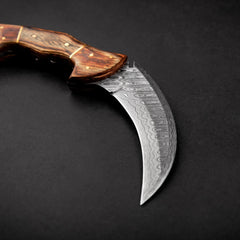 Tiger's Claw Damascus Steel Karambit