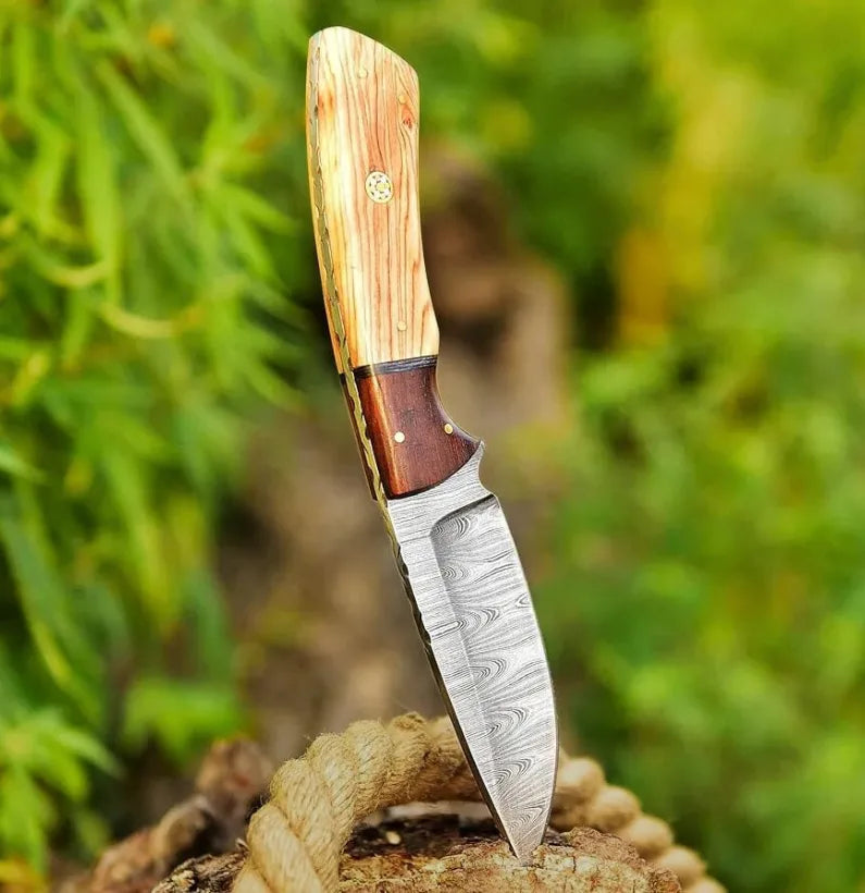 Fixed Blade Huntpro Skinning Knife with Olive & Rosewood Handle