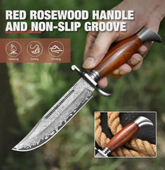 Forgefang Damascus Bowie – VG10 Core with Rosewood Grip