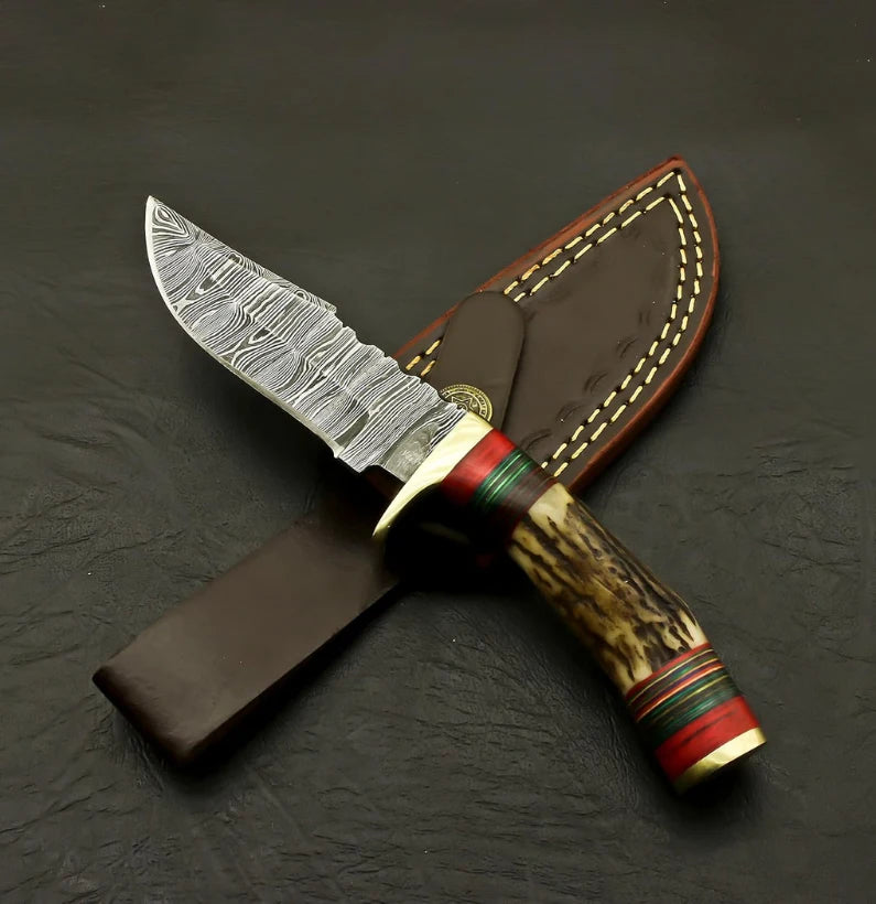 Hand-Forged Fixed Blade Hunter Skinning Knife – Stag Antler Handle